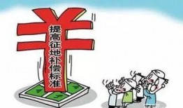 农村爆料标题大全最新图片,揭秘最新图片背后的惊人真相